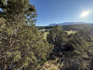 Back in Monticello.  Almost Snow Free